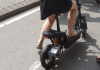 www.gazzettadilivorno.it