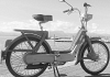www.quinewscuoio.it