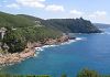 www.gazzettadilivorno.it