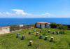 www.gazzettadilivorno.it