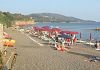 www.quinewselba.it