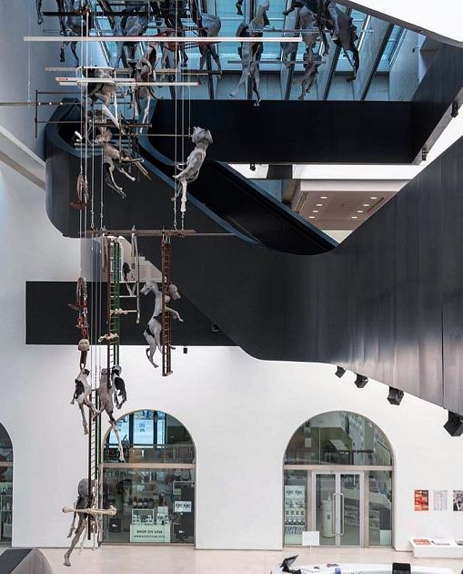 Il MAXXI strizza l'occhio a Giulia Cenci | Attualità CORTONA