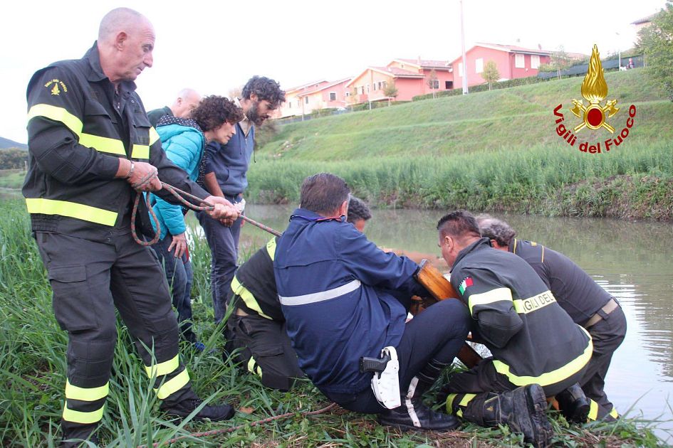 Cane Bloccato Sull argine Salvato Dai Pompieri Attualit Calcinaia