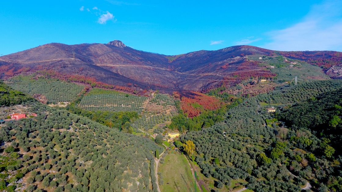 Tornano i Luoghi del Cuore col Monte Pisano Cultura PISA