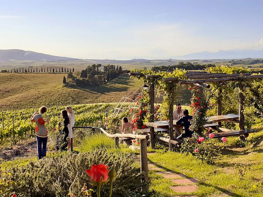 Vendemmia la festa nelle Strade del Vino Attualit AREZZO