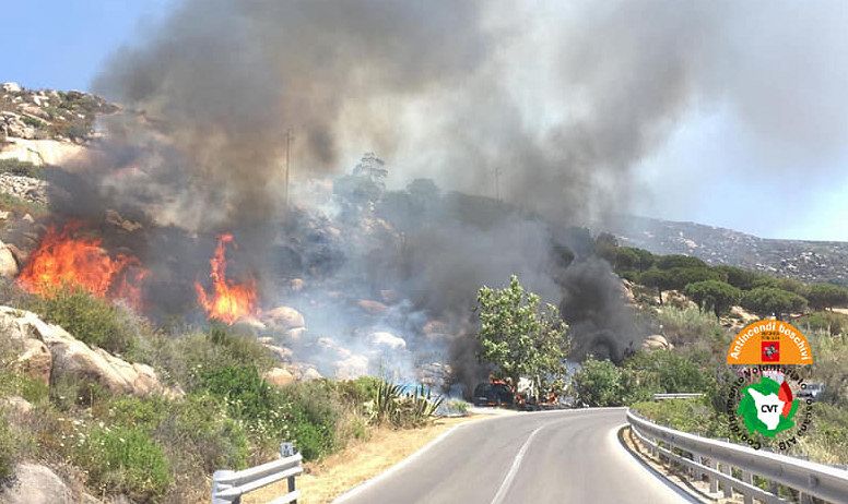 Vegetazione a fuoco la Toscana brucia Cronaca TOSCANA