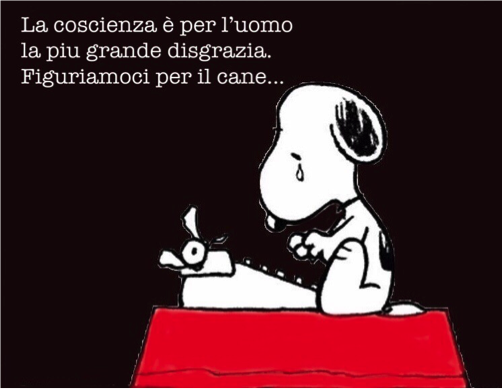 Cose strane dal mondo, alcune vi lasceranno senza parole