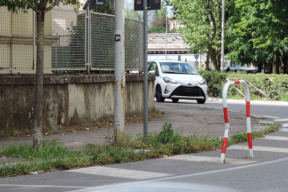 Via Masaccio erbacce all assalto del marciapiede STOP DEGRADO