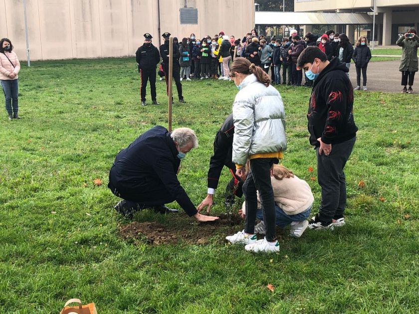 Pianta con il QR Code nel giardino della scuola Attualit AREZZO