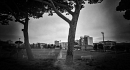 box d'autore