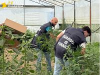 L'operazione della guardia di finanza