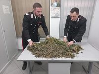 I carabinieri con la marijuana sequestrata