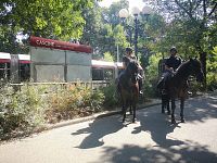 Polizia a cavallo