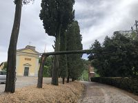 L'albero caduto nel piazzale della chiesa di San Martino in Vignale a Lucca