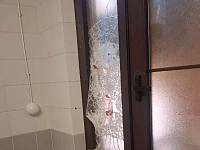Devastazioni nella scuola occupata