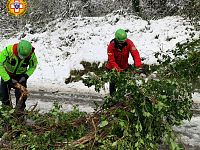 soccorso alpino rimuove un albero caduto