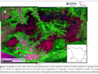 mappa satellitare
