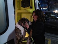 Uno degli interventi di soccorso della Lav