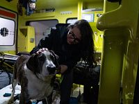 Uno degli interventi di soccorso della Lav