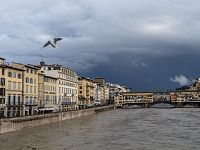 La piena dell'Arno in transito a Firenze