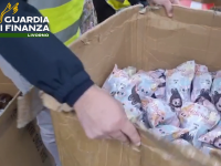 Il sequestro operato dalla guardia di finanza