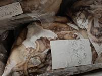 Parte del pesce sequestrato