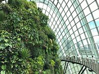  Cloud Forest Dome nei Gardens by the Bay - foto Blue Lama