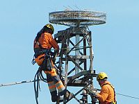 I tecnici Enel e il nido messo al sicuro sulla piattaforma isolata dalla corrente elettrica