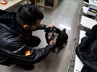 Uno degli interventi di soccorso della Lav