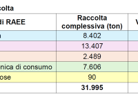 Quantità e tipo di Raee raccolti nel 2025 tabella