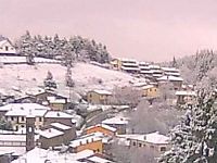 neve consuma