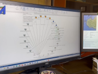 Lo schema investigativo