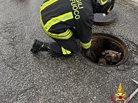 L'intervento dei vigili del fuoco