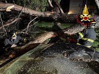 I vigili del fuoco e l'albero crollato