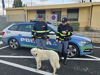 Il cane Betti con gli agenti della PolStrada