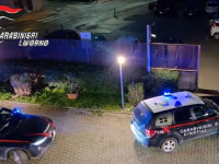 carabinieri cinofili