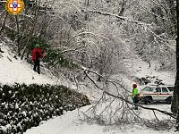 soccorso alpino rimuove un albero caduto