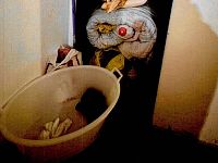 Una delle stanze nella ditta dormitorio