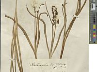 Una digitalizzazione