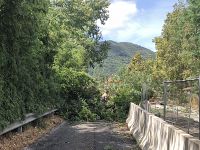 La Sarzanese Valdera all'altezza di Lucca