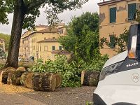 Sulle Mura di Lucca
