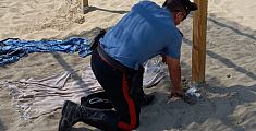 Cocaina nella sabbia, banda espulsa dalla Toscana