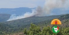 Bruciati 25 ettari di bosco in arrivo due canadair