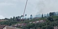 Incendio brucia gli alberi e minaccia le case