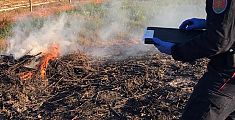 Accende il braciere e brucia ettari di vegetazione