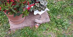 Vasi e luci votive rotte, vandali al cimitero