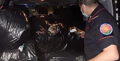 Tonnellate di rifiuti tessili stipati nei furgoni