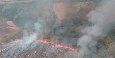 Vasto incendio brucia i boschi dell'Amiata