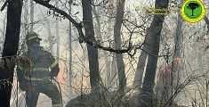 Brucia il bosco, 26 ettari divorati dalle fiamme