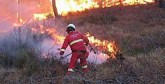Incendio anche a Massarosa, a fuoco la vegetazione
